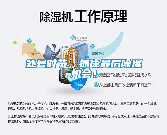 處暑時(shí)節(jié)，抓住最后除濕機(jī)會(huì)！