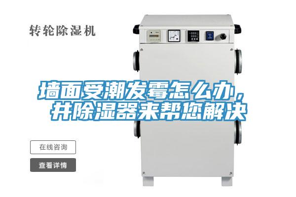 墻面受潮發(fā)霉怎么辦，東井除濕器來幫您解決
