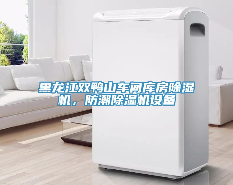 黑龍江雙鴨山車間庫房除濕機，防潮除濕機設(shè)備